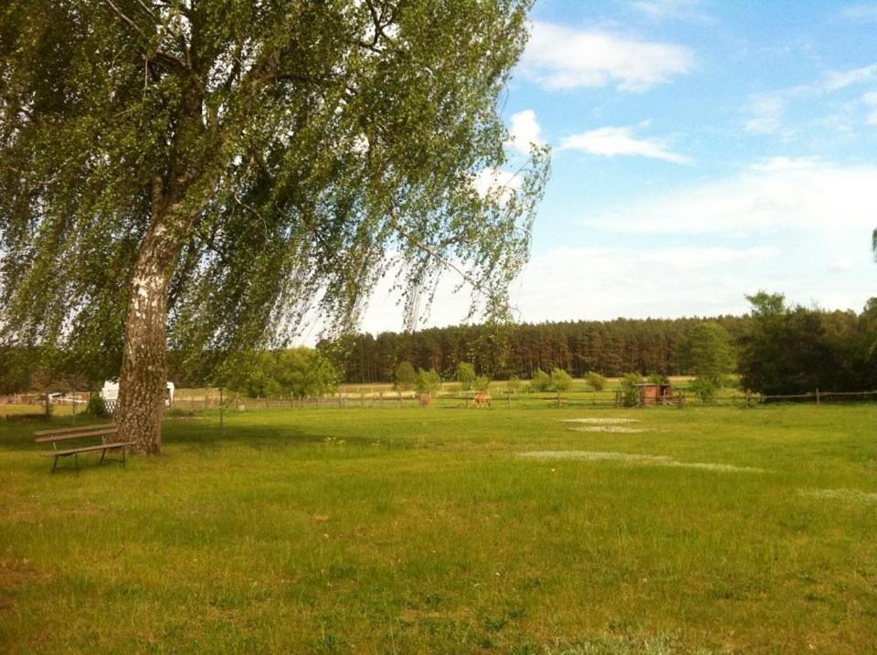 Landhotel Am Peetscher See Mirow Zewnętrze zdjęcie