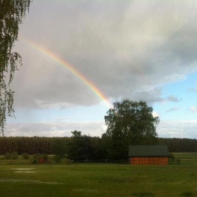 Landhotel Am Peetscher See Mirow Zewnętrze zdjęcie